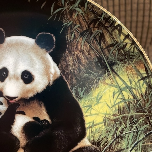 The Panda Will Nelson Vintage Last of Their Kind: The Endangered Species Plate - Picture 11 of 16